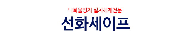 선화세이프 