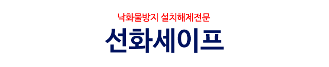 선화세이프 